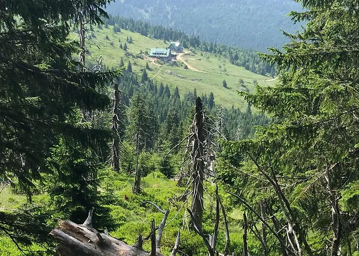 Apartament Gór-ski *